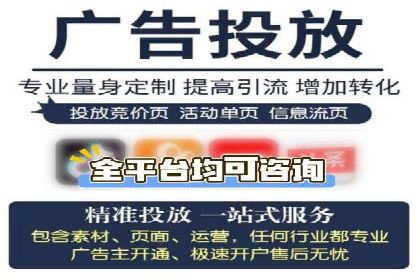 SEO与SEM优化案例：打造行业领先品牌